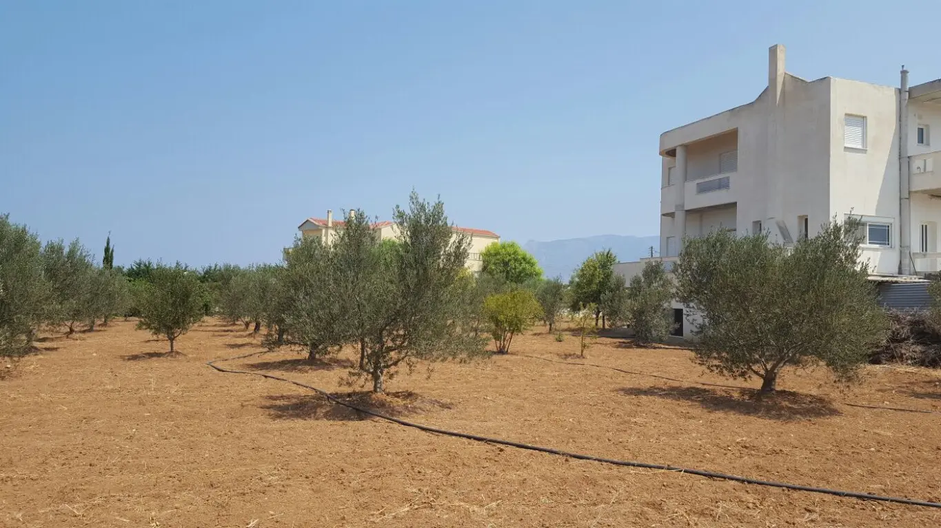 Apartment Of 130 M² In Peloponnese