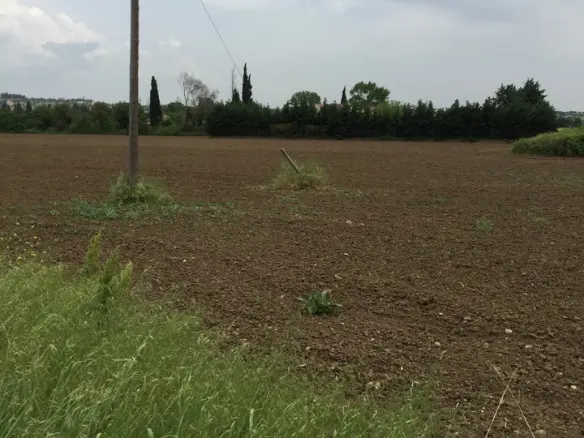 Land Of 11000 M² In The Suburbs Of Thessaloniki