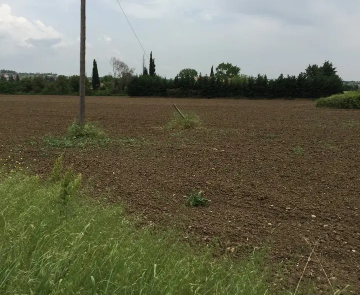 Land Of 11000 M² In The Suburbs Of Thessaloniki