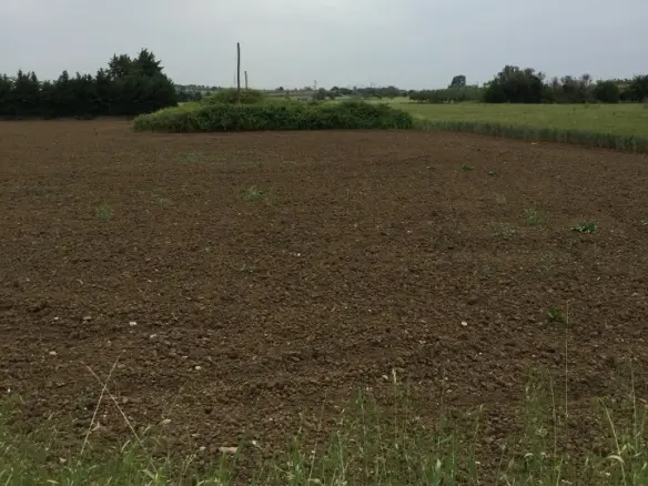 Land Of 11000 M² In The Suburbs Of Thessaloniki