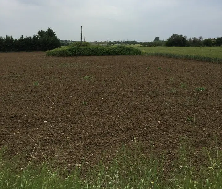 Land Of 11000 M² In The Suburbs Of Thessaloniki