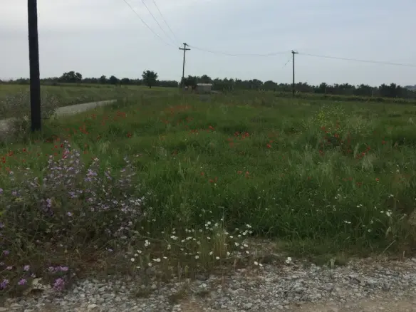 Land Of 10600 M² In The Suburbs Of Thessaloniki