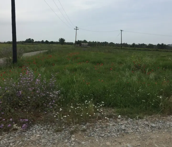 Land Of 10600 M² In The Suburbs Of Thessaloniki