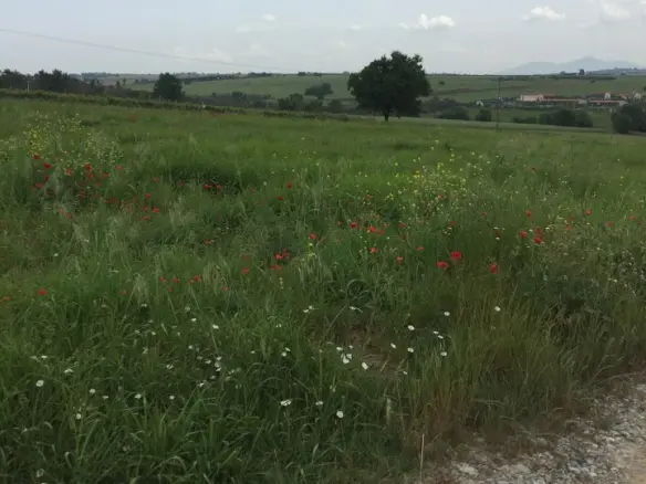 Land Of 10600 M² In The Suburbs Of Thessaloniki
