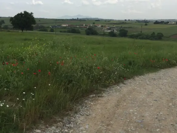 Land Of 10600 M² In The Suburbs Of Thessaloniki