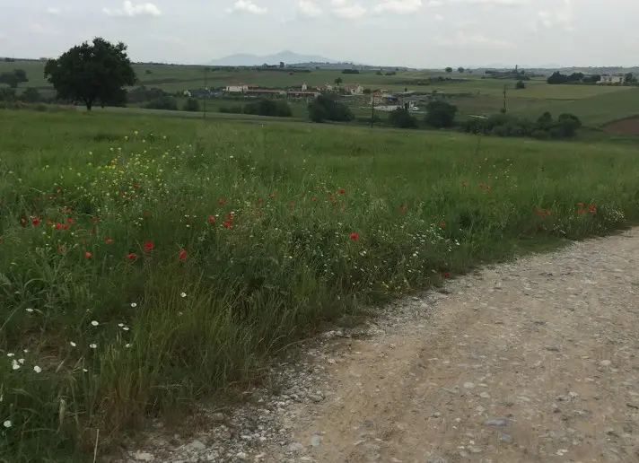 Land Of 10600 M² In The Suburbs Of Thessaloniki
