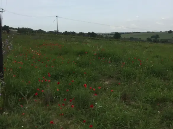 Land Of 10600 M² In The Suburbs Of Thessaloniki