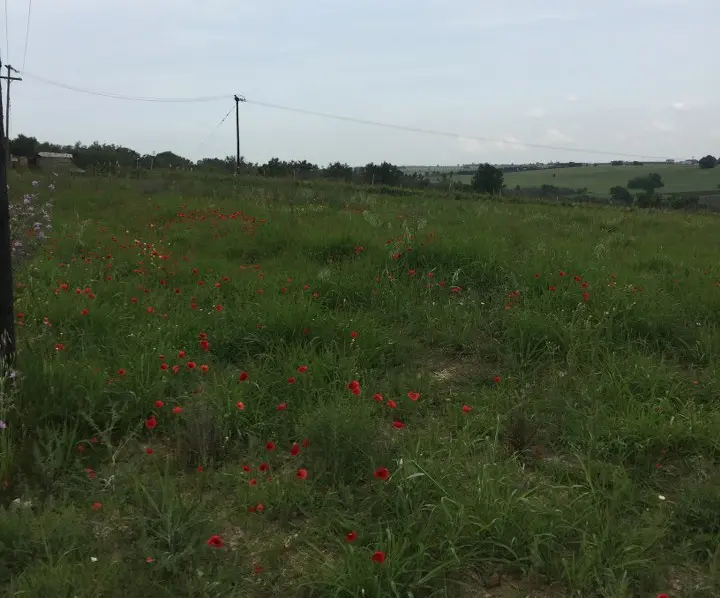 Land Of 10600 M² In The Suburbs Of Thessaloniki