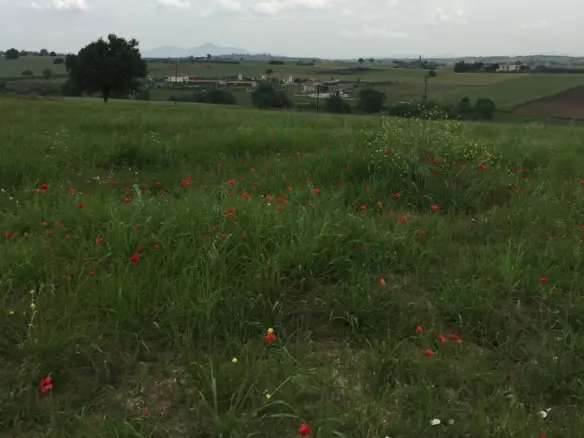 Land Of 10600 M² In The Suburbs Of Thessaloniki