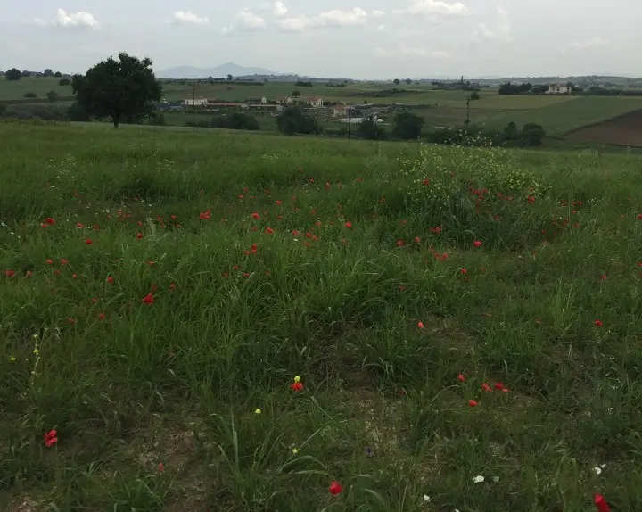 Land Of 10600 M² In The Suburbs Of Thessaloniki