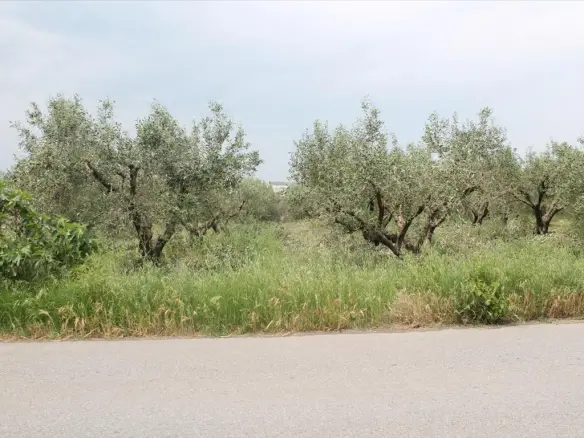 Land Of 4200 M² In The Suburbs Of Thessaloniki