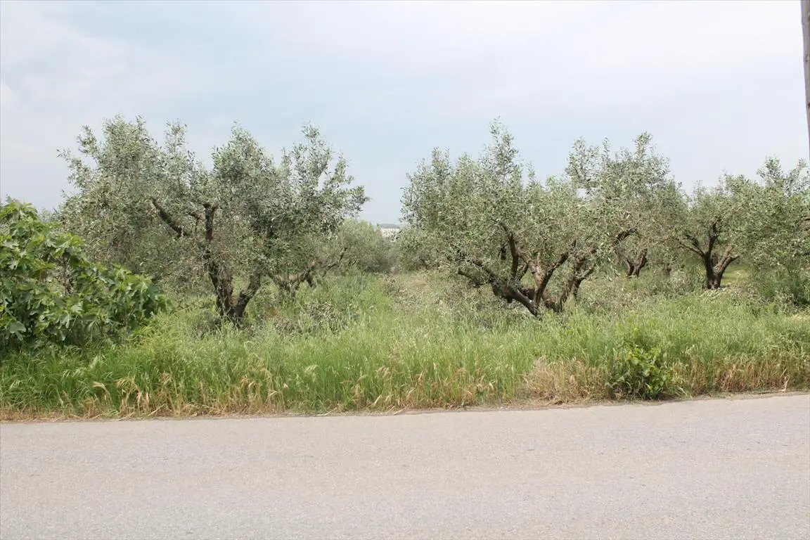 Land Of 4200 M² In The Suburbs Of Thessaloniki