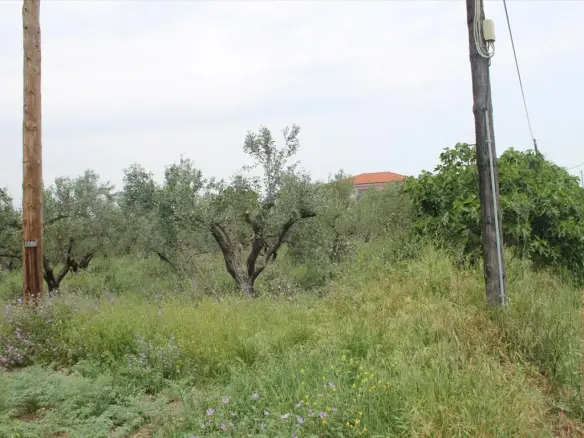 Land Of 4200 M² In The Suburbs Of Thessaloniki