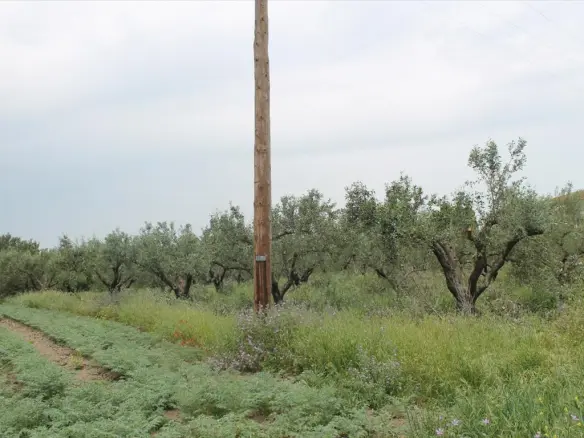 Land Of 4200 M² In The Suburbs Of Thessaloniki