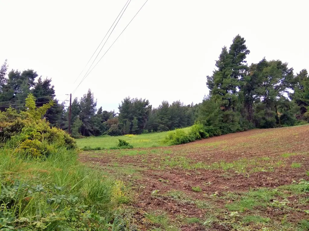 Land Of 28000 M² In Kassandra, Chalkidiki