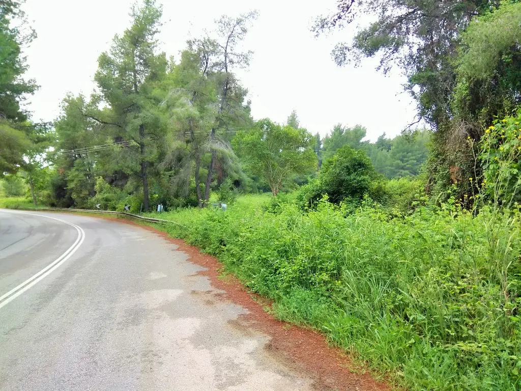 Land Of 28000 M² In Kassandra, Chalkidiki