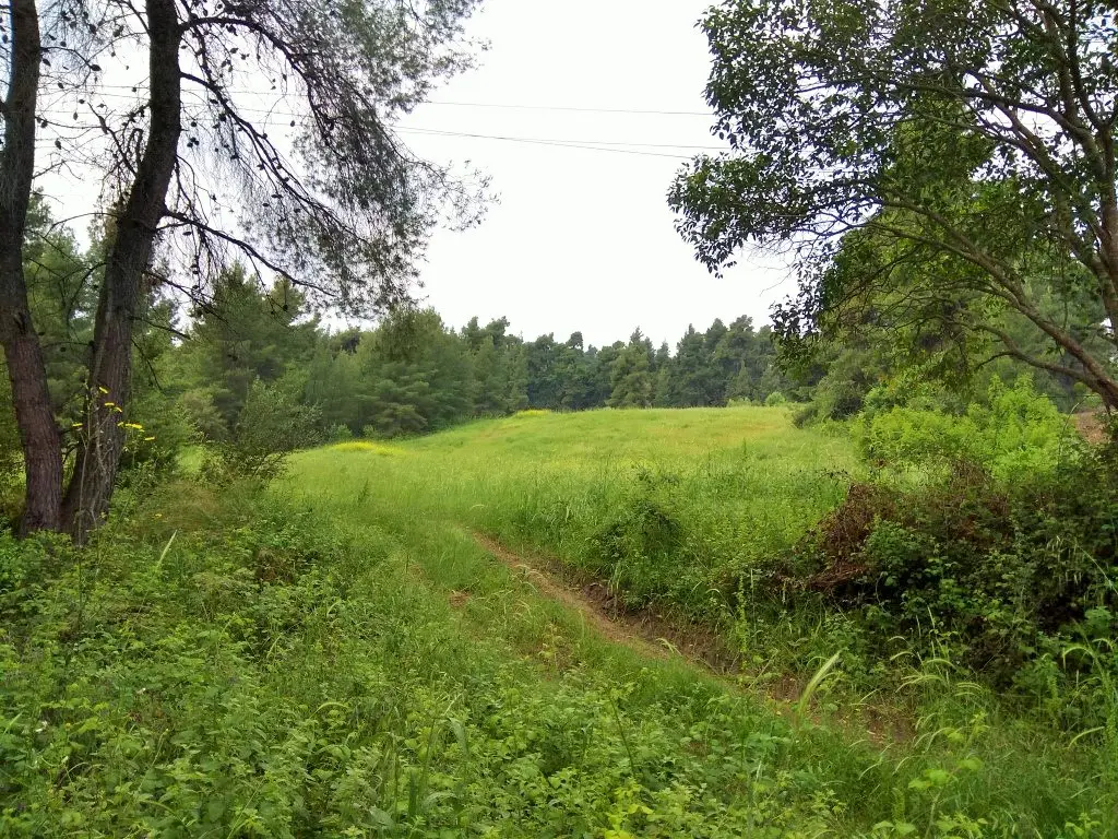 Land Of 28000 M² In Kassandra, Chalkidiki