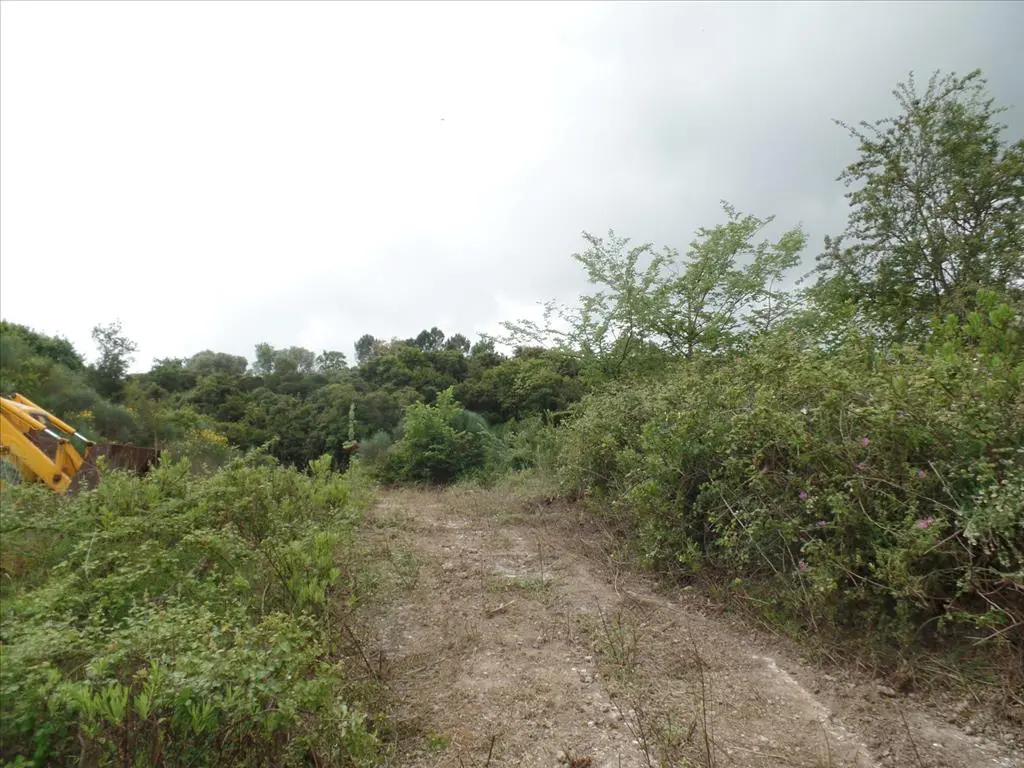 Land Of 15000 M² In Corfu