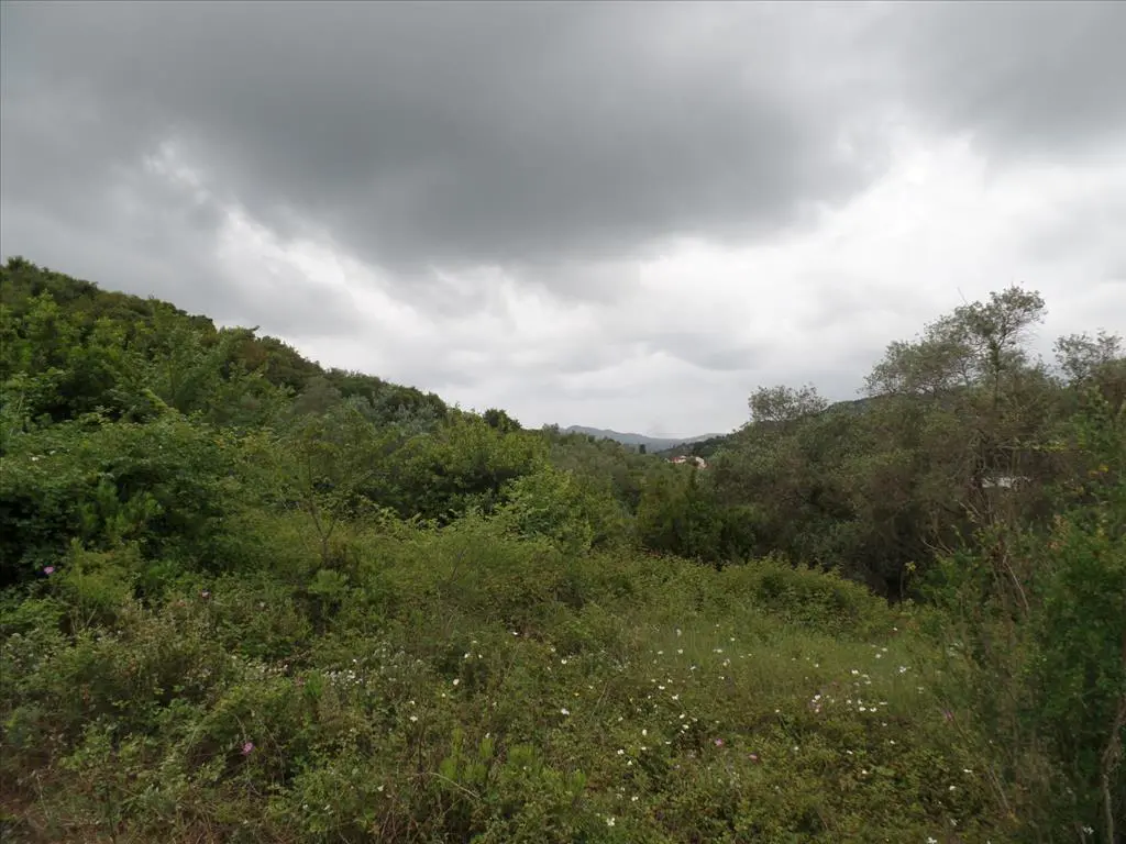 Land Of 15000 M² In Corfu