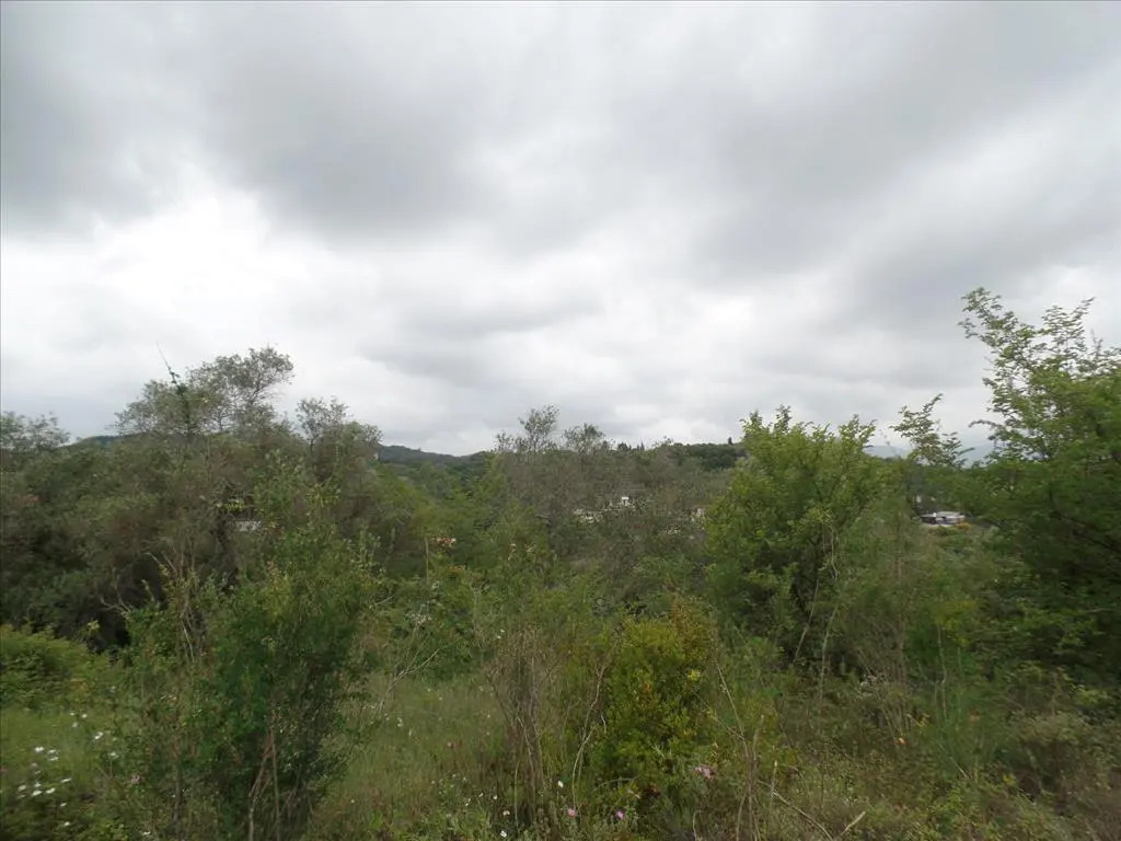 Land Of 15000 M² In Corfu