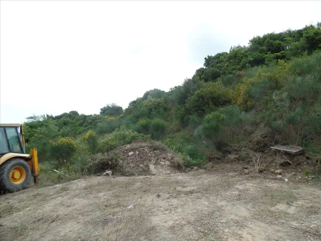 Land Of 15000 M² In Corfu
