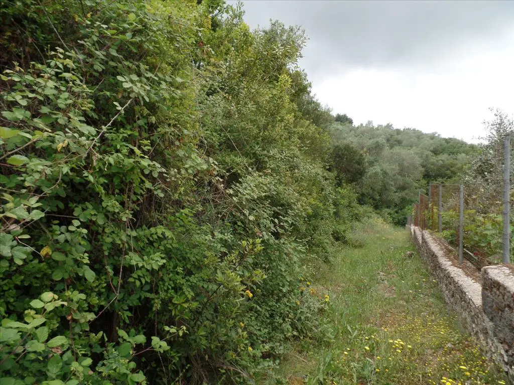 Land Of 15000 M² In Corfu