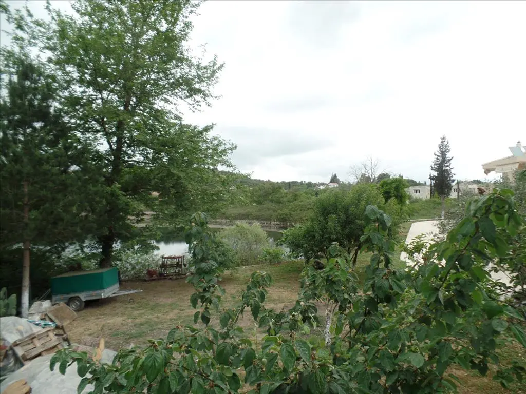 Land Of 15000 M² In Corfu