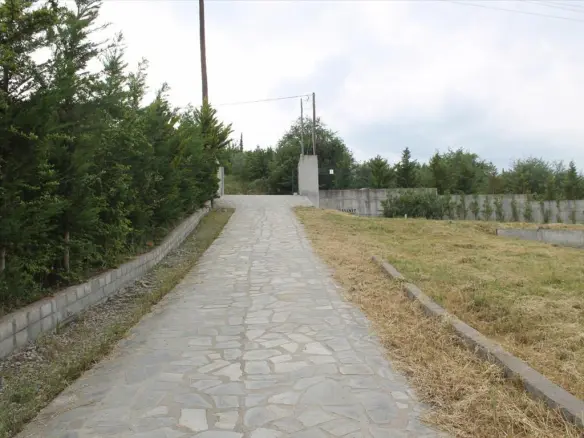 Detached House Of 250 M² In The Suburbs Of Thessaloniki