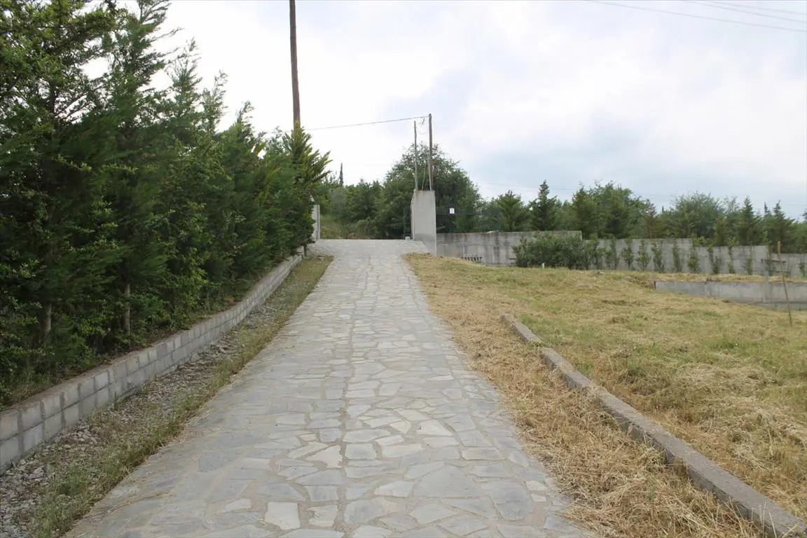 Detached House Of 250 M² In The Suburbs Of Thessaloniki