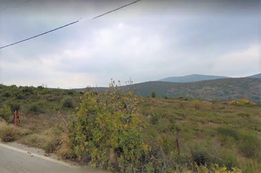Land Of 10000 M² In Volos-pilio