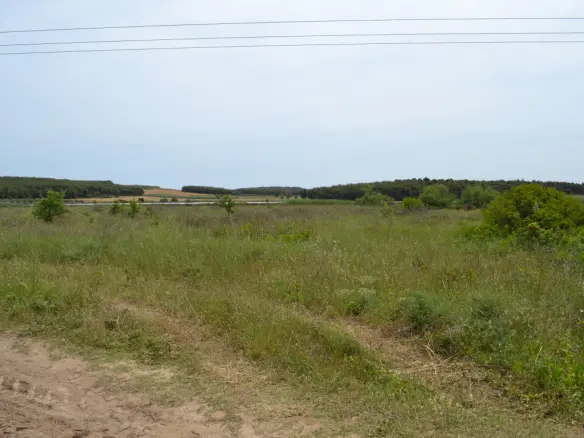Land Of 3200 M² In Kassandra, Chalkidiki