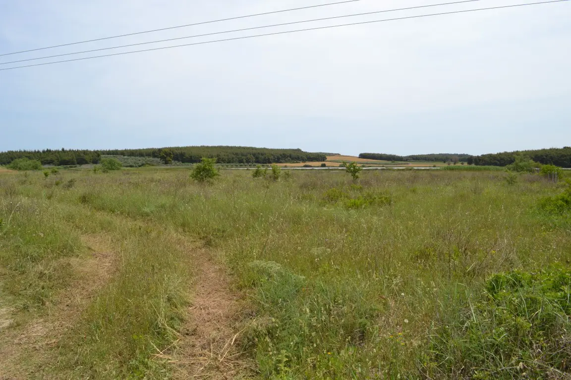 Land Of 3200 M² In Kassandra, Chalkidiki