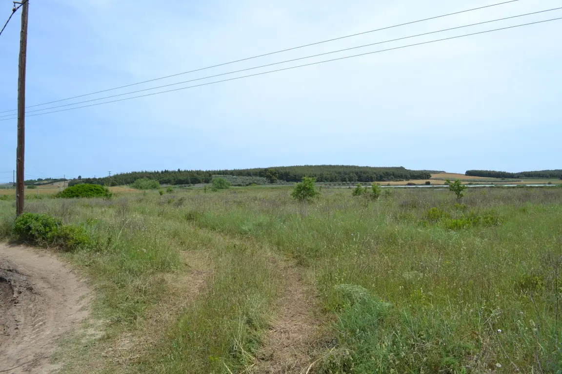 Land Of 3200 M² In Kassandra, Chalkidiki