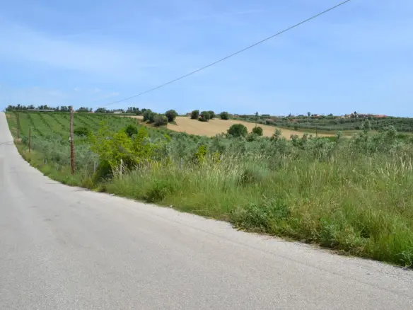 Land Of 4600 M² In Kassandra, Chalkidiki