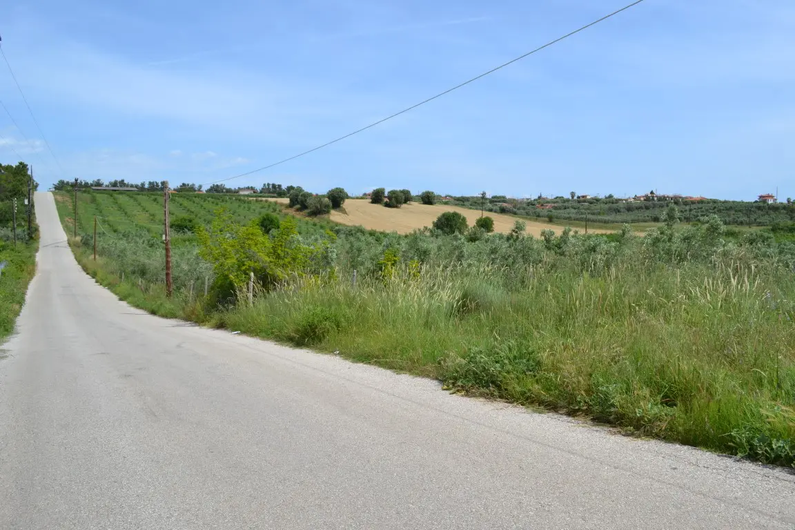 Land Of 4600 M² In Kassandra, Chalkidiki