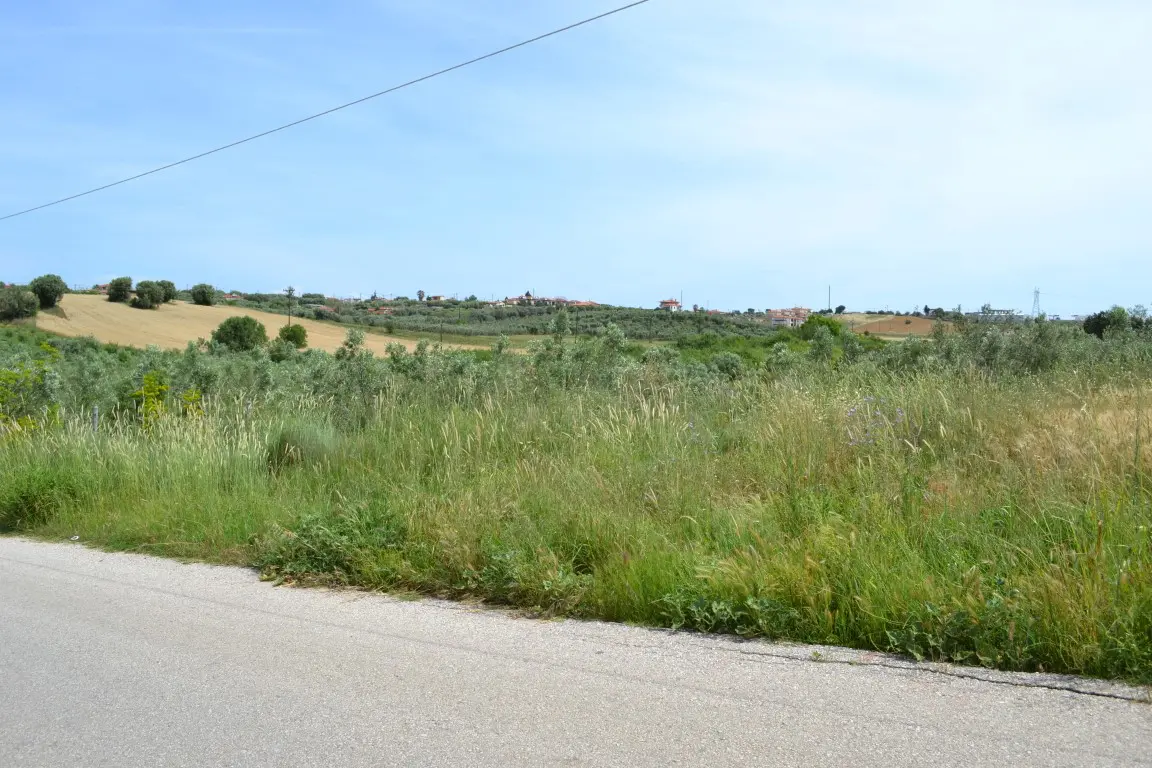 Land Of 4600 M² In Kassandra, Chalkidiki