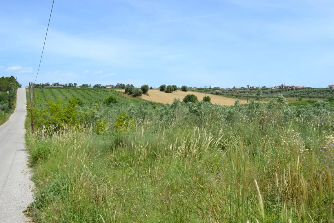 Land Of 4600 M² In Kassandra, Chalkidiki