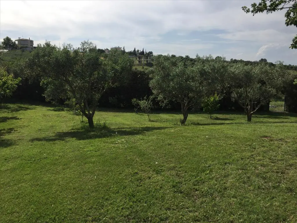 Villa Of 440 M² In Thessaloniki