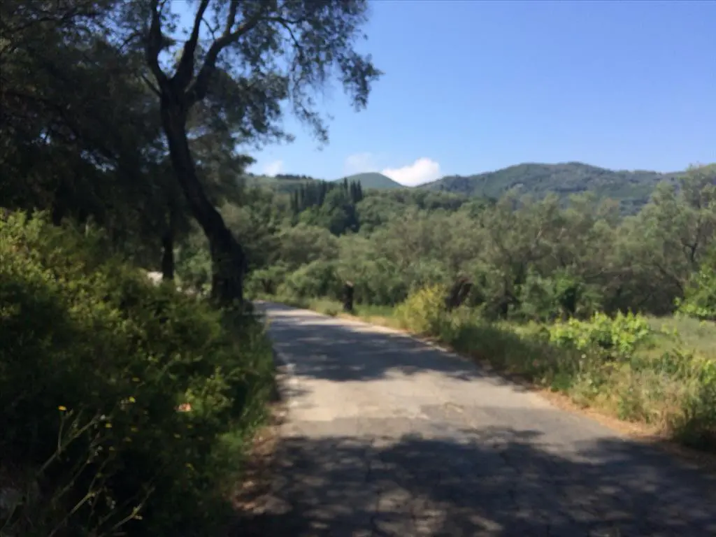 Land Of 7000 M² In Corfu