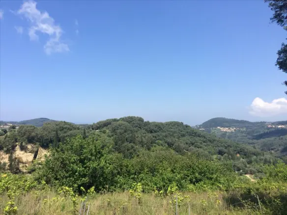 Land Of 7000 M² In Corfu