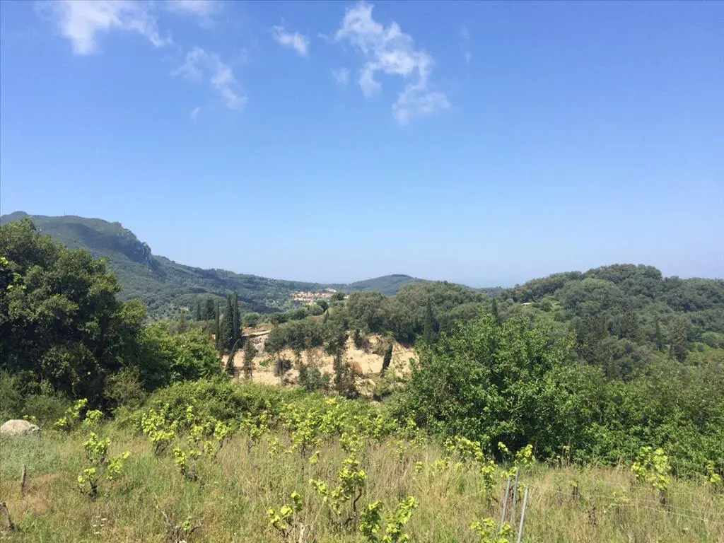 Land Of 7000 M² In Corfu