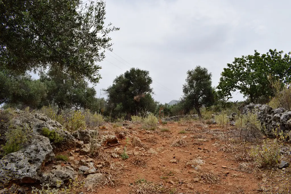 Land Of 4000 M² In Crete