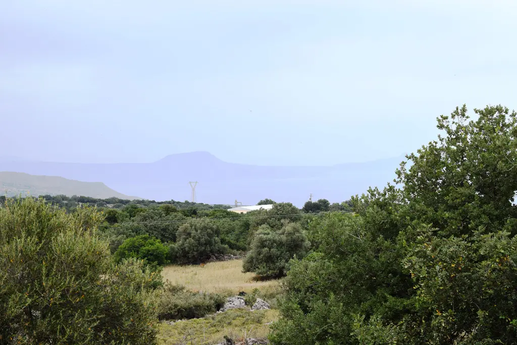 Land Of 4000 M² In Crete