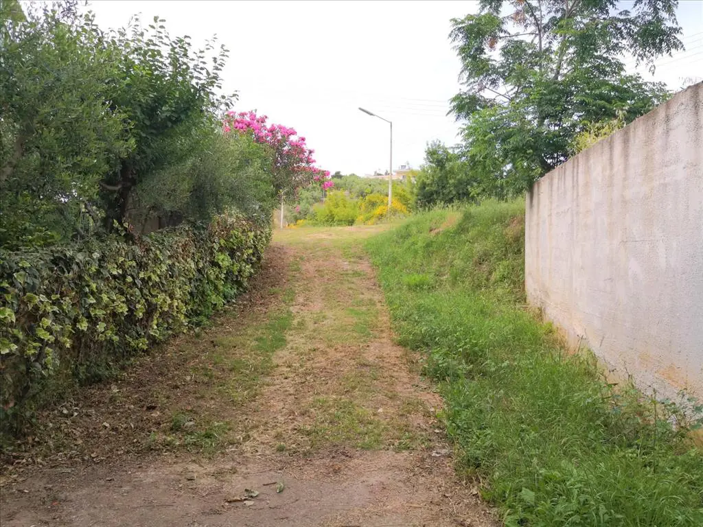 Detached House Of 400 M² In Sithonia, Chalkidiki