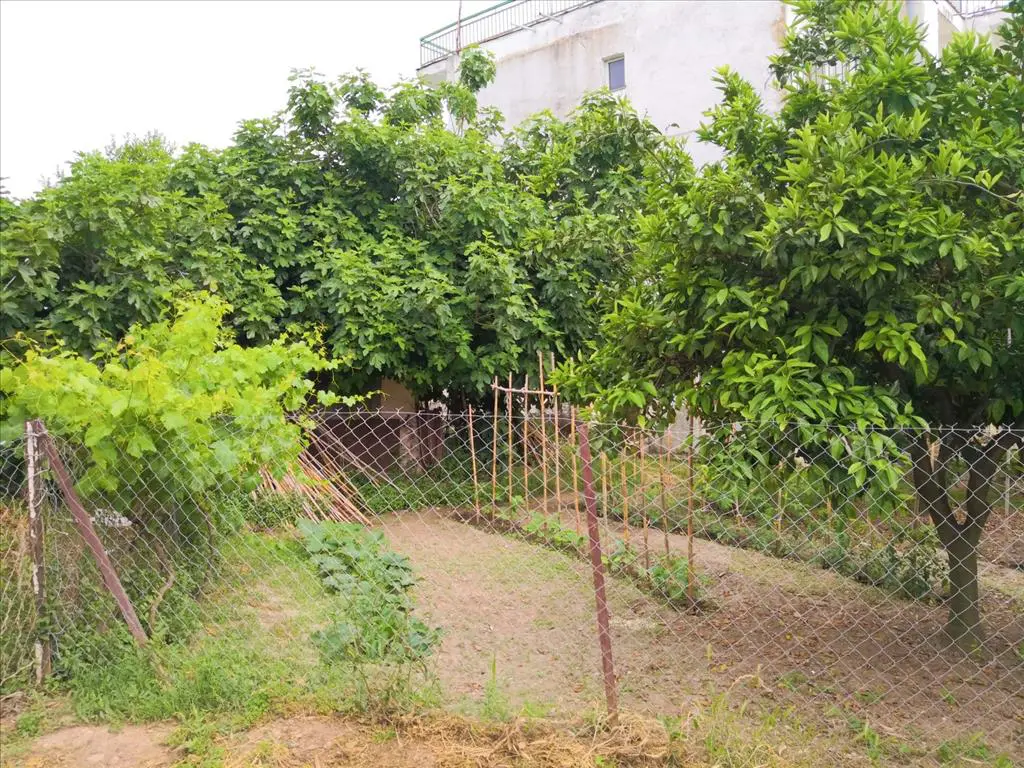 Detached House Of 400 M² In Sithonia, Chalkidiki