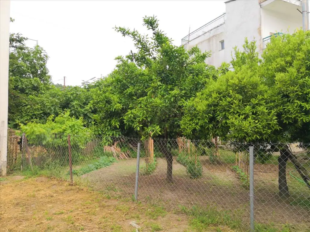 Detached House Of 400 M² In Sithonia, Chalkidiki