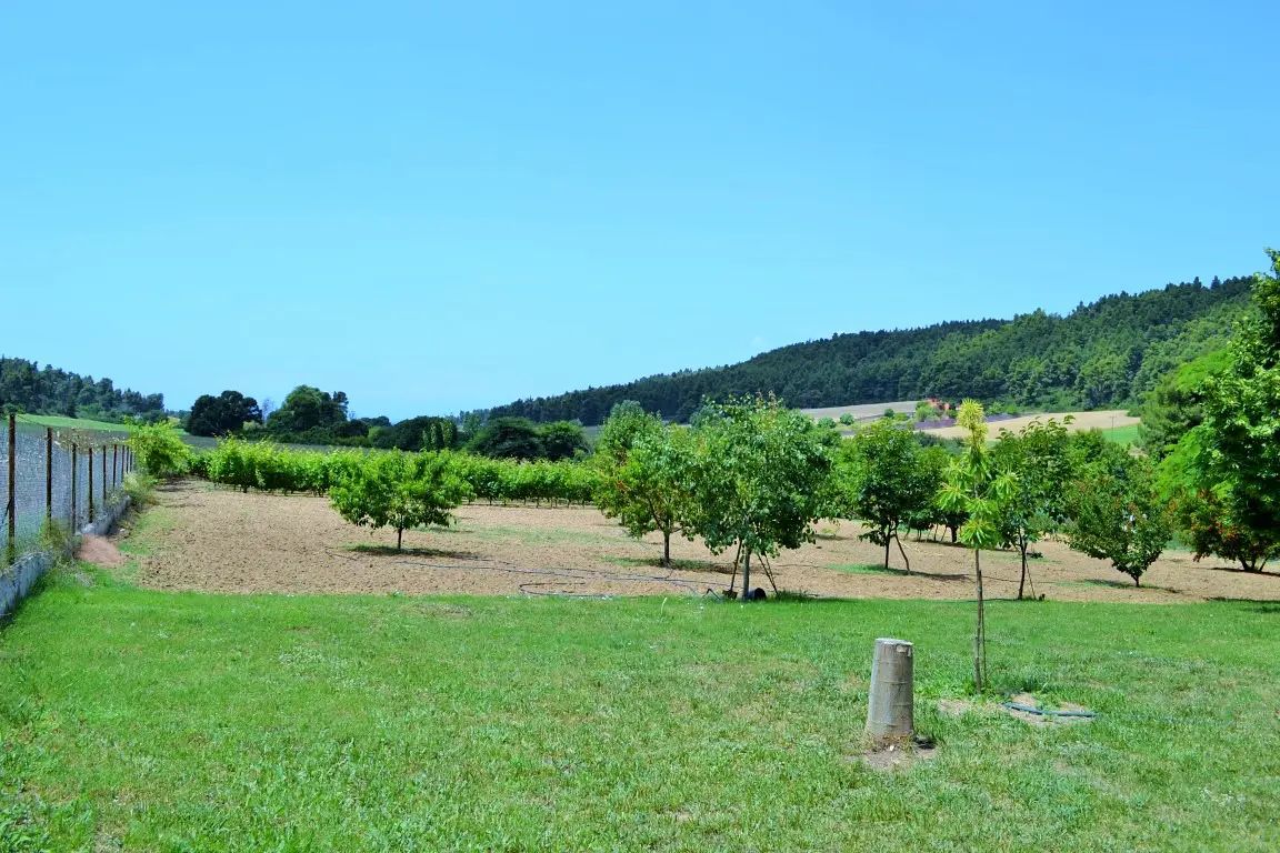Detached House Of 105 M² In Kassandra, Chalkidiki
