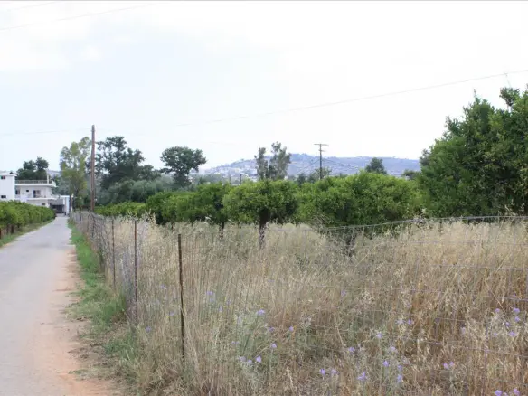 Land Of 6086 M² In Crete