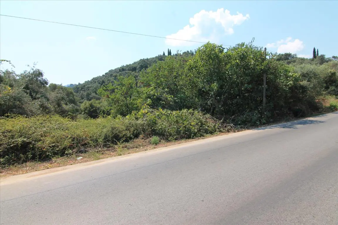 Land Of 8000 M² In Corfu