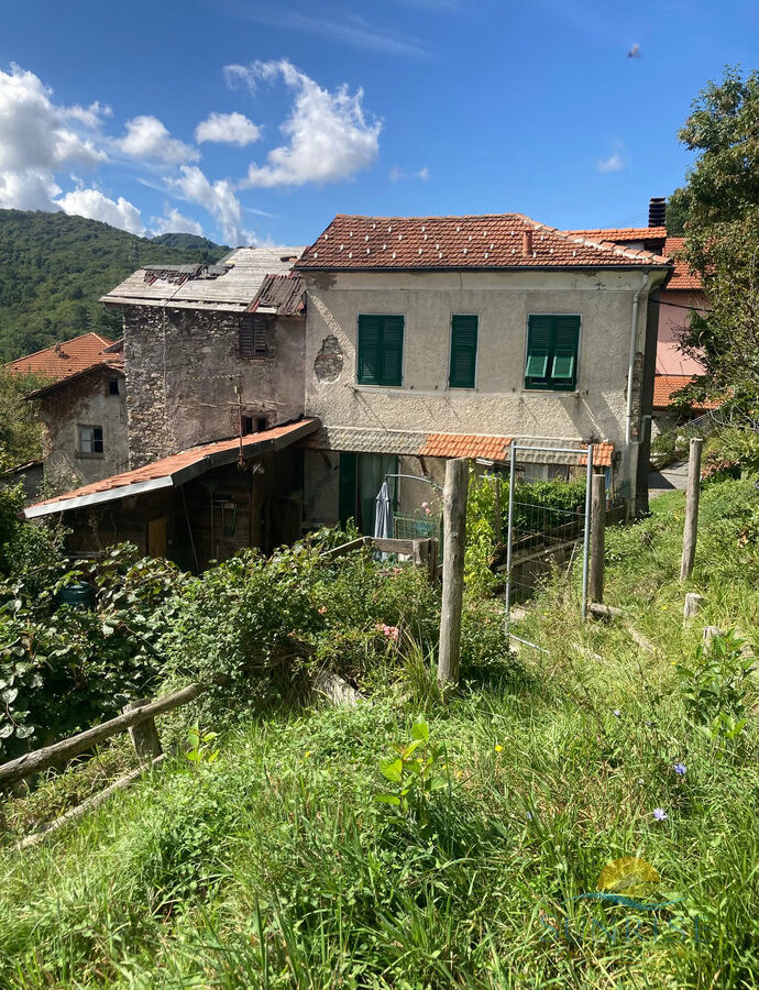 Country House Of 10000 M² With Possibility To Build A New Villa In Rural Area